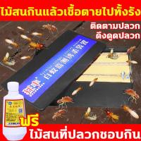 ราคา ฆ่าปลวกยกรัง ติดเชื้อตาย เหยื่อปลวก ไม้สนที่ปลวกชอบกิน สถานีกำจัดปลวก ติดตามปลวก ดึงดูดปลวก เหยื่อกำจดปลวก กำจัดปลวก ยกรัง เหยื่อล่อปลวก กล่อง เหยื่อกำจัดปลวก สถานีเหยื่อปลวก กล่องกำจัดปลวก สถานีใส่เ 