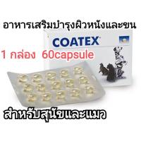 ราคา coatex vetplus coatex vetplus 1กล่อง 60 capsule อาหารเสริมบำรุงขนสุนัข อาการเสริมบำรุงขนแมว (15959060765)