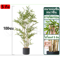 ราคา สีไม่จางลง50ปี ต้นไผ่ ต้นไผ่ปลอม ต้นไม้ปลอม ต้นไม้ปลอมใหญ่ ต้นไม้ปลอมสวยๆ เสียบกระถางได้ ต้นไม้มงคลปลอม สไตล์นอร์ดิก ในบ้าน ต้นไม้มงคล ต้นไม้ประดิษฐ์ ต้นไม้ปลอม ต้นไม้ปลอมตกแต่งบ้าน ต้นไม้ตกแต่งบ้าน (