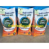 ราคา cp888เมล็ดพันธุ์ข้าวเหนียว บรรจุ20 กก (20974707903)