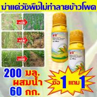 ราคา อัตรากำจัดวัชพืช100 ยาฆ่าหญ้าข้าวโพด100ML 1แถม1 เข้มข้นมาก เห็นผลทันที ยาชุดข้าวโพด ฆ่าหญ้าข้าวโพดฆ่าแค่วัชพืช ไม่ทำลายข้าวโพด นาข้าวโพด100 ปีไม่มีวัชพืช ยาฆ่าหญ้าในข้าวโพด ยาฉีดหญ้าข้าวโพด ยาฆ่าหญ้าไ