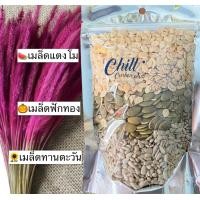 ราคา ธัญพืชรวม3ชนิด อบพร้อมทาน ขนาด 500 g อุดมไปด้วยประโยชน์มากมาย เมล็ดแตงโม เมล็ดทานตะวัน เมล็ดฟักทอง (21967811086)