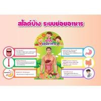ราคา สื่อการสอน สุขศึกษา และพละศึกษา ระบบการย่อยอาหาร (22120871009)