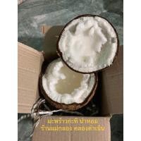 ราคา มะพร้าวกะทิน้ำหอม สดๆจากสวน ส่งไว 1 3 วัน (21052410920)