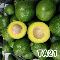 ราคา พร้อมส่ง 1KG อโวคาโด้แฮส 034 TA21 บูธ7 แก่จัด avocado hass (22110308242)