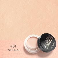 ราคา FOCALLURE เต็มปกคอนซีลเลอร์ครีมแต่งหน้ารองพื้นปกมูลนิธิฐานยาวนานควบคุมความมันครีมคอนซีลเลอร์ (1615842699)