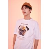 ราคา OK Apparel เสื้อยืดคอกลมแขนสั้น ลายหมาปั๊ก ผ้าคอตตอนUSA100 OVERSIZE (21954099130)