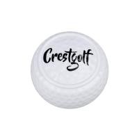 ราคา CRESTGOLF Flat Ball Golf Two Layer Putter Practice Ball Golf Flat Ball Putter Special Ball with Printed Logo (21559721671)
