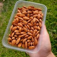 ราคา ธัญพืชเพื่อสุขภาพ ผลไม้อบแห้ง ธัญพืชรวม (20550303458)