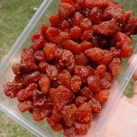 ราคา ธัญพืชเพื่อสุขภาพ ผลไม้อบแห้ง ธัญพืชรวม (20550303460)