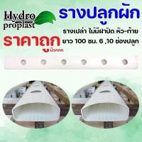 ราคา รางปลูกผักไฮโดรโปนิกส์ยาว 1 เมตร 6และ10 ช่องปลูก รางเปล่า ไม่มีฝาปิด หัว ท้าย (22124359989)