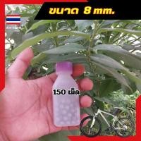 ราคา ลูกเหล็กร่อนเงา 8 มิล 8 mm ลูกเหล็กแบริ่งจักยาน ขัดเงาอย่างดี กลมเท่ากันทุกเม็ด ใช้หรับถ่วงน้ำหนัก (21926753139)
