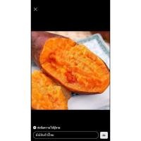 ราคา ใหม่ทุกวัน มันม่วงมันหวานเหลืองปลูกในไทยเกษตรอินทรีย์ขายถูก1kg มันไทย ราคาถูกที่สุด (21212303764)