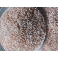 ราคา ข้าวเหนียวแดง ข้าวเหนียวมันปู 1 กิโล ข้าวใหม่ 2567 (21587319917)