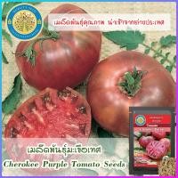 ราคา เมล็ดพันธุ์มะเขือเทศ Cherokee Purple Tomato Seeds (16582970662)