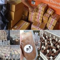 ราคา อาหารปลาไรแดงแช่แข็ง ขนาด 150 กรัม (19198713950)