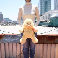 ราคา ตุ๊กตา เป็ด ขนฟู 20นิ้ว Anee Park อานี ปาร์ค (20537200913)