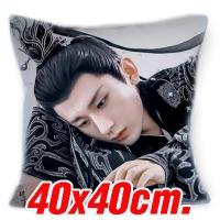 ราคา หมอนอิง ปลอกหมอนอิงผ้ากำมะหยี่ลายเฉิงอี้ Cheng Yi ดาราจีน พิมพ์ลาย2ด้าน ปลอกมีซิปถอดซักได้ (21265207630)
