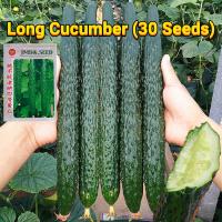 ราคา การจัดส่งที่รวดเร็ว เมล็ดพันธุ์แตงกวา เมล็ดแตงกวาญี่ปุ่น 30เมล็ด Japanese Cucumber Seed Organic Vegetable Seeds for Planting เมล็ดแตงกวา เมล็ดพันธุ์ OP แท้ เมล็ดผักสวนครัว ผักออร์แกนิก F1 เมล็ดพันธุ์ผ