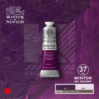ราคา สีน้ำมัน Winsor Newton Winton หลอด 37 มล (10228479702)