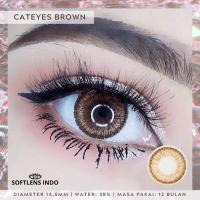 ราคา คอนแทคเลนส์ Cat Eye Brown ยี่ห้อ Gaezz Secret ค่าสายตาปกติ 700 (21906512120)