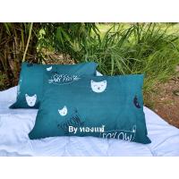 ราคา ปลอกหมอน หนุน ใบ ใหญ่ (21404056165)