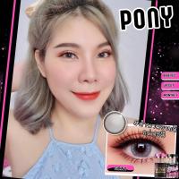 ราคา Pony GRAY contact lens by winkwow (21480350265)