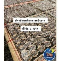 ราคา ปลาข้างเหลืองหวานโรยงา ตัวล่ะ 1 บาท สดใหม่ ฮาลาล (21607005608)