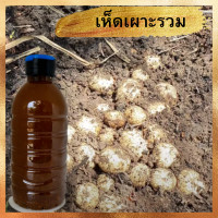 ราคา เชื้อเห็ดเผาะ เผาะหนัง เผารวม เข้มข้น2เท่า ขนาด600มล เชื้อสด มีเอกสารวิธีใช้ให้ (21953448854)