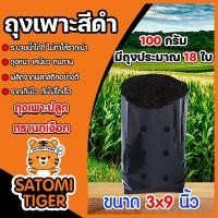 ราคา ถุงเพาะกล้า ขนาด3x9 ตรานกเงือก 100กรัม ถึง 30กิโลกรัม ถุงเพาะต้นไม้ ถุงปลูกกล้า ถุงดำเพาะกล้า ถุงดำเพาะปลูก ถุงปลูก ถุงชำต้นไม้ (12497539428)
