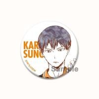 ราคา เข็มกลัดติดเสื้ออนิเมะญี่ปุ่น Hinata Tobio Kageyamaเข็มกลัดติดปกเสื้อสไตล์ญี่ปุ่นขนาด44มม สำหรับคอลเลคชั่นเครื่องประดับแฟชั่น (21115777708)