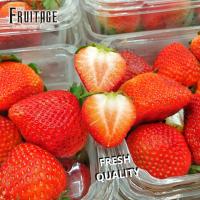 ราคา สตอเบอรี่นำเข้า จากอเมริกา ออส เกาหลี Strawberry USA AUS Korea ลดพิเศษ Premium ที่สุดของสตรอเบอรี่ สตอเบอร์รี่ สตรอว์เบอร์รี่ สตรอเบอรี่สด (8462200447)