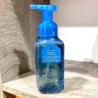 ราคา ฉลากไทยBath BodyWorks Gentle Clean Foaming Hand Soap 259ml โฟมล้างมือผสมน้ำหอม (21729807254)