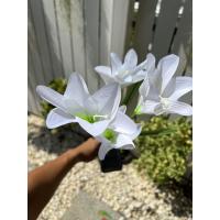 ราคา RGB LEDไฟโซล่าเซลด้วยดอกลิลลี่ที่ใหญ่กว่า 4 ดอกไฟตกแต่งสำหรับตกแต่งสวนสวนต้นไม้ปลอมดอกไม้ปลอมตกแต่งสวน ทางเดินในสวน (17574342209)