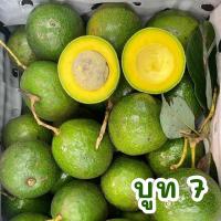 ราคา พร้อมส่ง 1KG อโวคาโด้แฮส 034 TA21 บูธ7 แก่จัด avocado hass (22110308243)