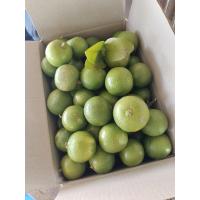 ราคา มะนาวสด4กิโลกรัม100บาท (22040139165)