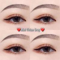 ราคา คอนแทคเลนส์ ขนาดมินิ Brown Gray Mini vivian kittykawaii (17873767629)