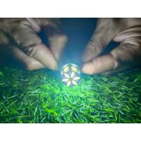 ราคา ไฟเลี้ยว 21 ชิป ไฟเลี้ยวกระพริบเร็ว ขั้วบิด และ ขั้วเสียบ มีให้เลือก 3 สี สีส้ม สีขาว และสีไอซ์บลู (13924820367)