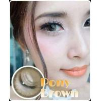 ราคา คอนแทคเลนส์ ขนาดบิ๊กอาย Brown Pony Pola Wink Lovely (17597225163)