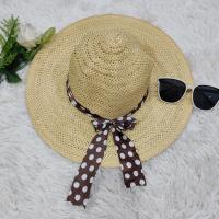 ราคา พร้อมส่งจาก กทม หมวกปีกกว้าง กันแดด เที่ยวทะเล มีหลายแบบ (20594185457)