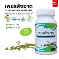ราคา เพชรสังฆาต Cissus quadrangularis 100 60cap คุณภาพดี จัดส่งไว (20815338535)