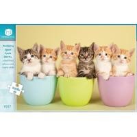 ราคา จิ๊กซอว์ 500 ชิ้น ลายหมาแมว พร้อมส่ง (9193243174)