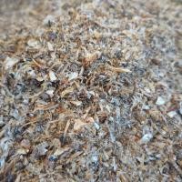 ราคา เศษปลาร่อนจากปลากะตักตากแห้ง 500กรัม20บาท (22067362812)