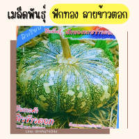 ราคา เมล็ดพันธุ์ ฟักทอง ลายข้าวตอก 1 5 กรัม ผิวเรียบ เนื้อมัน ฟักทองลายข้าวตอก เมล็ดฟักทอง (20914930825)
