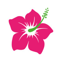 ราคา ตัวรีดติดเสื้อดอกชบา ลายใหม่ สวยๆ FP 02 รีดติดง่ายทุกเนื้อผ้า (21993657781)