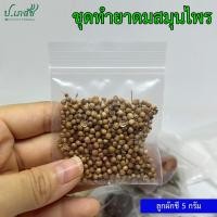 ราคา ยาดมสมุนไพรผสมเอง เครื่องทำยาดมสมุนไพร ยาดมโบราณ ชุดทำยาดม ยาดมแฮนด์เมด (21282586171)