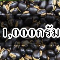 ราคา เม็ดหมามุ่ย เม็ดหมามุ่ยอินเดีย หมามุ่ย (22061699517)