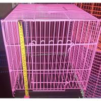 ราคา ขายกรงใช้ใส่ นก กระรอก กระต่าย หนูขวัญ หนูตะเภา หนูแก๊สบี้ หนูดัมโบ้ ราคาถูก ยาว14กว้าง12สูง12นิ้ว (14880382817)
