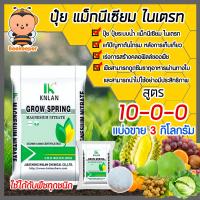 ราคา ปุ๋ย สูตร 10 0 0 แมกนีเซียมไนเตรท แบ่งขาย บรรจุ 3 กิโลกรัม Magnesium Nitrate KNLAN แม่ปุ๋ย ปุ๋ยเกร็ด แก้ปัญหาต้นโทรม เร่งการสร้างคลอฟิลล์ของพืช (10950860365)