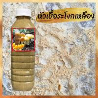 ราคา เชื้อเห็ดเผาะหนัง หัวเชื้อเห็ดเผาะหนัง เข้มข้นเกิด100 ไม่ผสมน้ำ เชื้อสดใหม่ หัวเชื้อ180มล เชื้อ600มล พร้อมวิธีปลูก (22157377871)